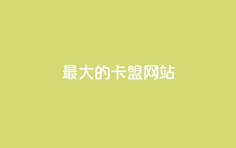 最大的卡盟网站,807卡盟网 - 卡盟刷svip永久不封号网站 抖音充值官方1:1 第1张