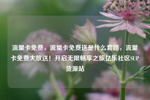 流量卡免费，流量卡免费送是什么套路，流量卡免费大放送！开启无限畅享之旅亿乐社区SUP货源站  第1张