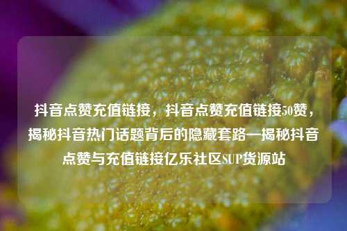 抖音点赞充值链接，抖音点赞充值链接50赞，揭秘抖音热门话题背后的隐藏套路—揭秘抖音点赞与充值链接亿乐社区SUP货源站  第1张