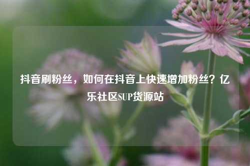 抖音刷粉丝，如何在抖音上快速增加粉丝？亿乐社区SUP货源站  第1张