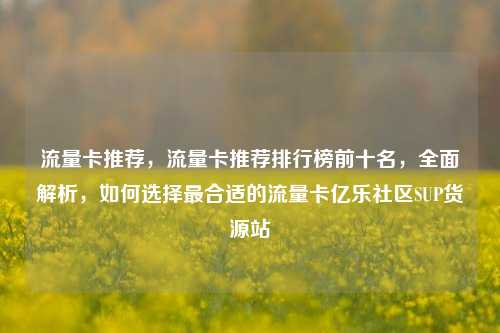 流量卡推荐，流量卡推荐排行榜前十名，全面解析	，如何选择最合适的流量卡亿乐社区SUP货源站  第1张